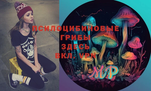 наркотики Богданович